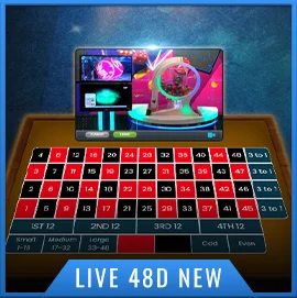DingDong 48D New